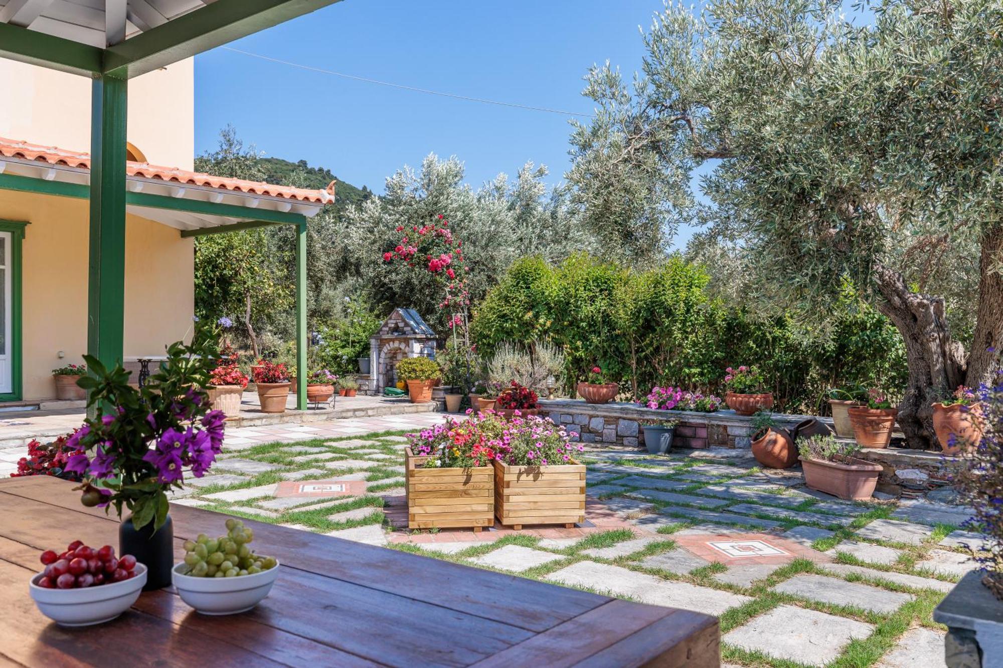 Aretousa Studios & Apartments Skopelos Buitenkant foto