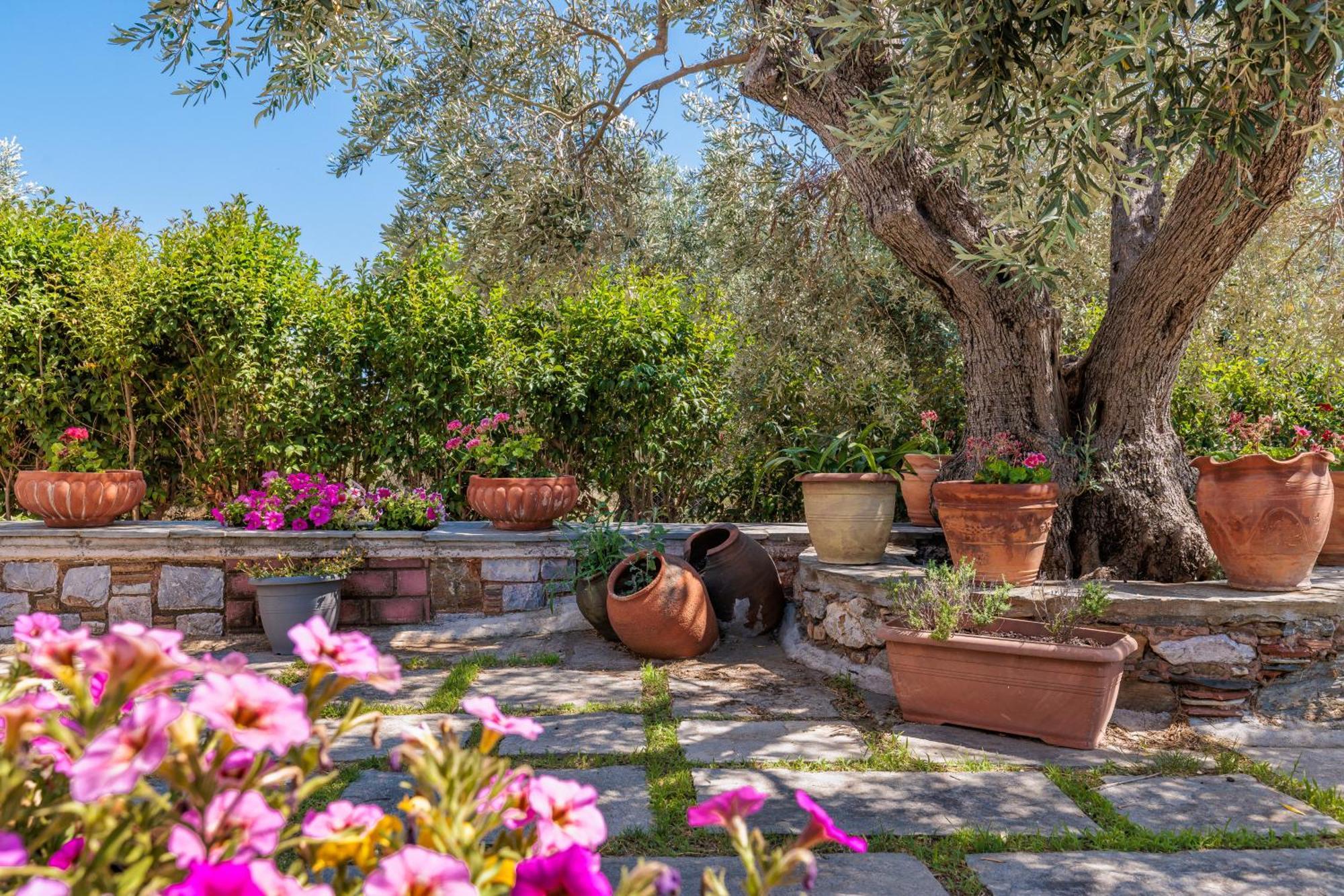 Aretousa Studios & Apartments Skopelos Buitenkant foto