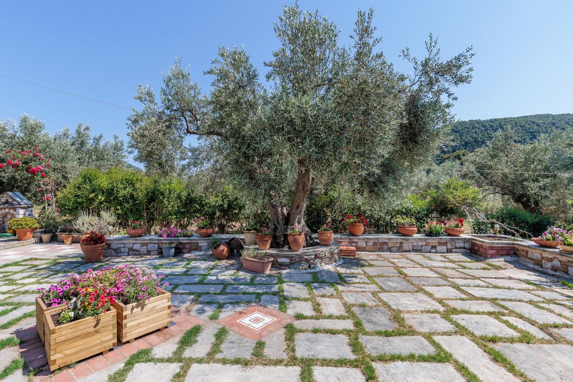 Aretousa Studios & Apartments Skopelos Buitenkant foto